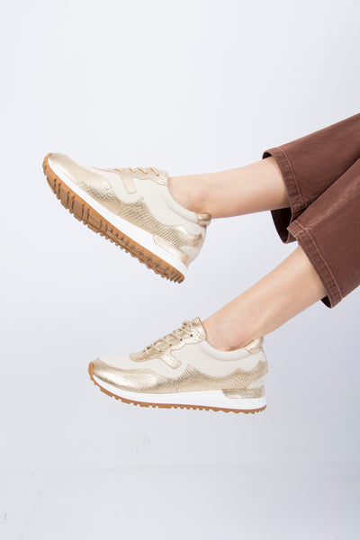 Zapatillas Gold star